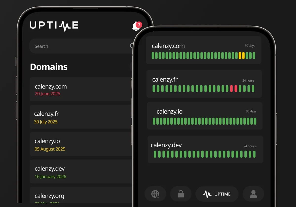 Uptime app showing domain expiry dates and website availability timelines